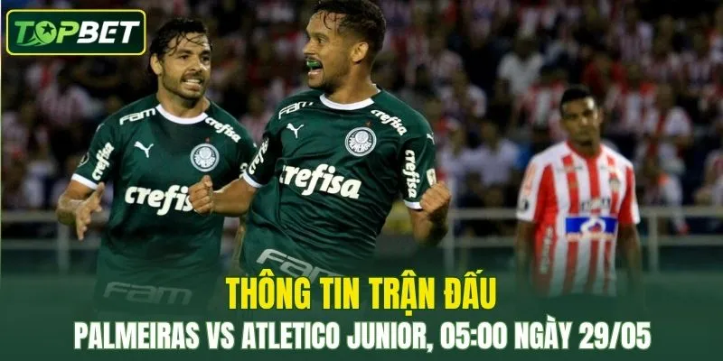Nhan Dinh, Soi Keo Palmeiras Vs Atletico Junior 05 00 Ngay 29 05