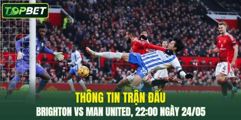 Thong Tin Tran Dau Brighton Vs Man United Ngay 24 05 2026