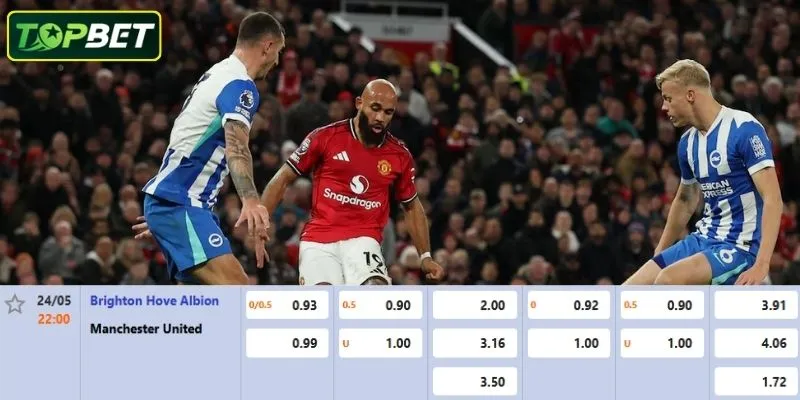 Ty Le Keo Chi Tiet Cho Tran Dau Brighton Vs Man United