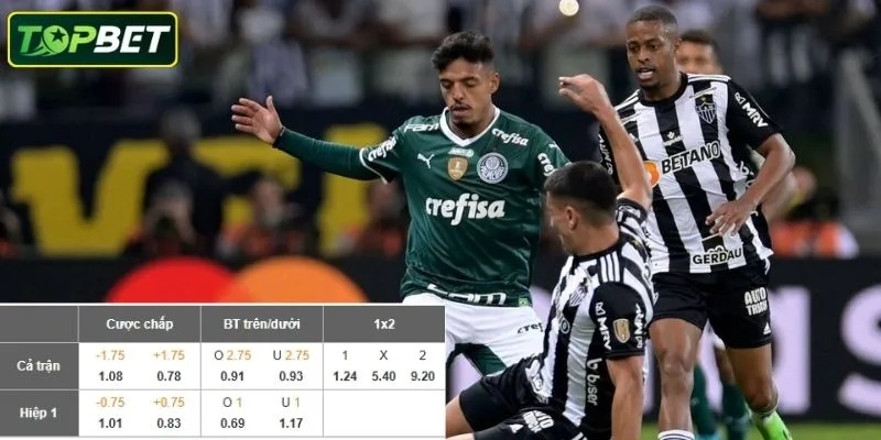 Ty Le Keo Chi Tiet Cua Tran Palmeiras Vs Atletico Junior